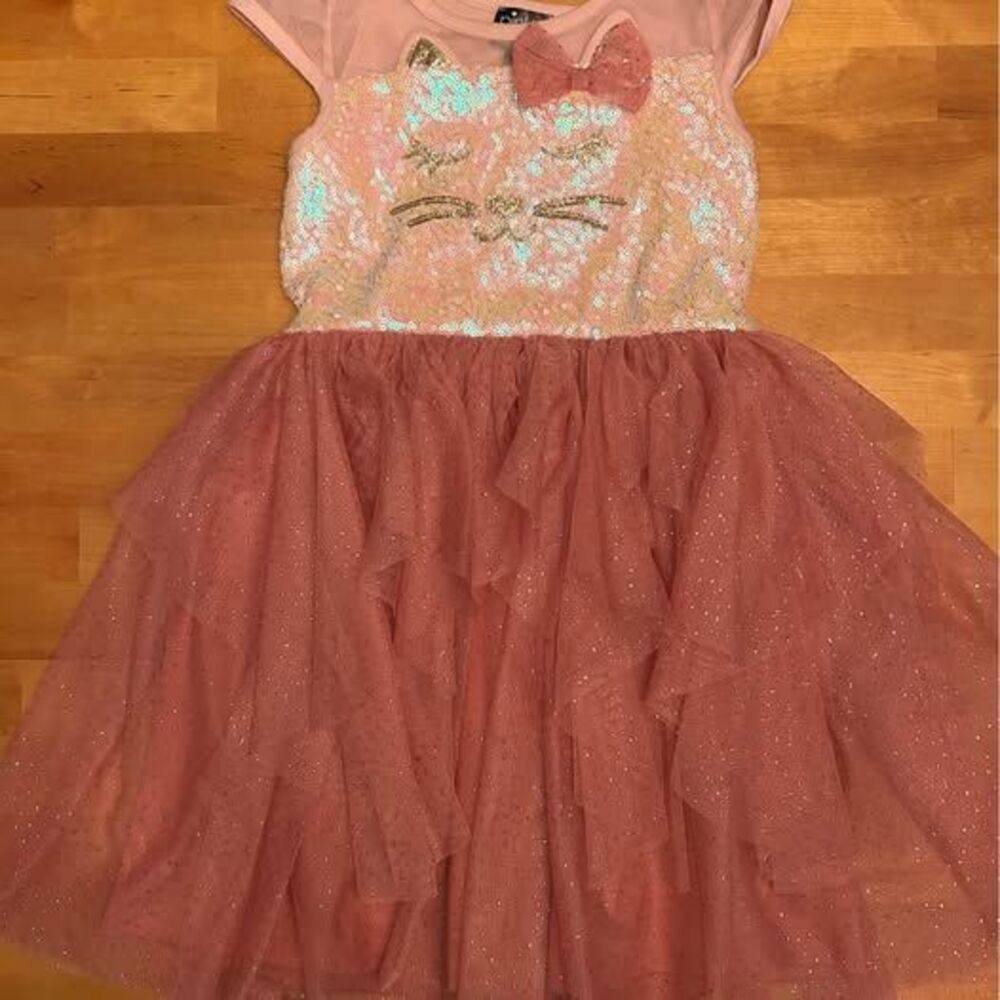Pink & Violet Brand Girls Cat Sequin Tutu Dress Size 6X